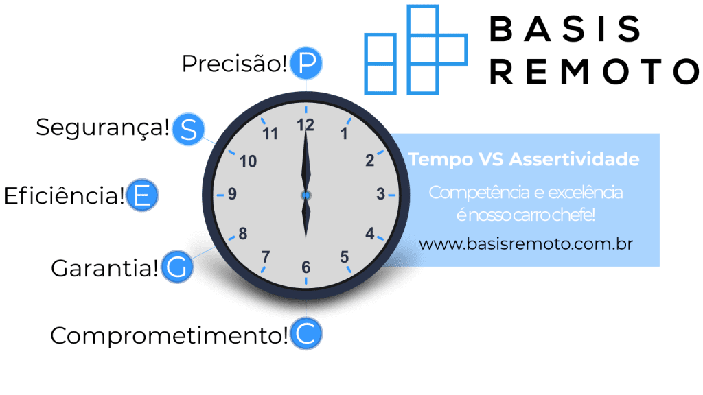 SAP Basis Remoto